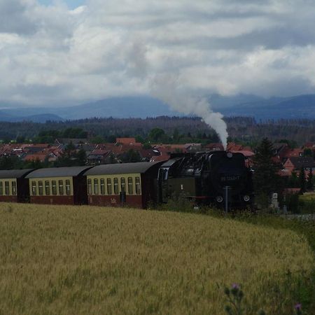 Ferienwohnung Schuur - Harz Hasselfelde Exteriör bild