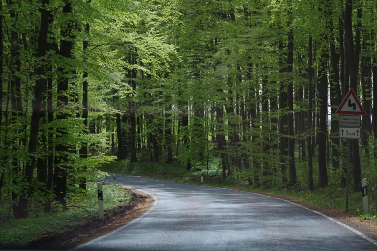 Ferienwohnung Schuur - Harz Hasselfelde Exteriör bild