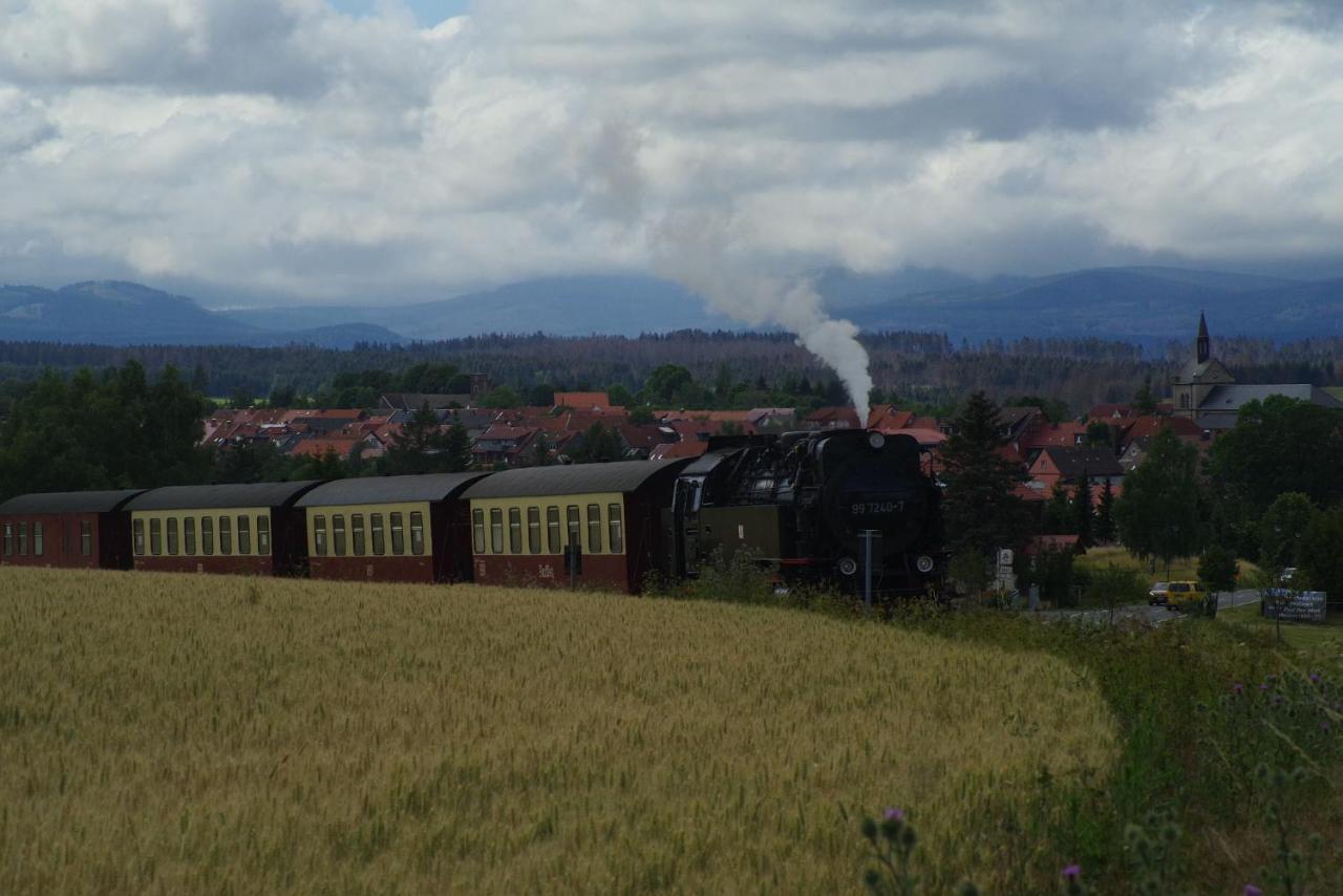 Ferienwohnung Schuur - Harz Hasselfelde Exteriör bild